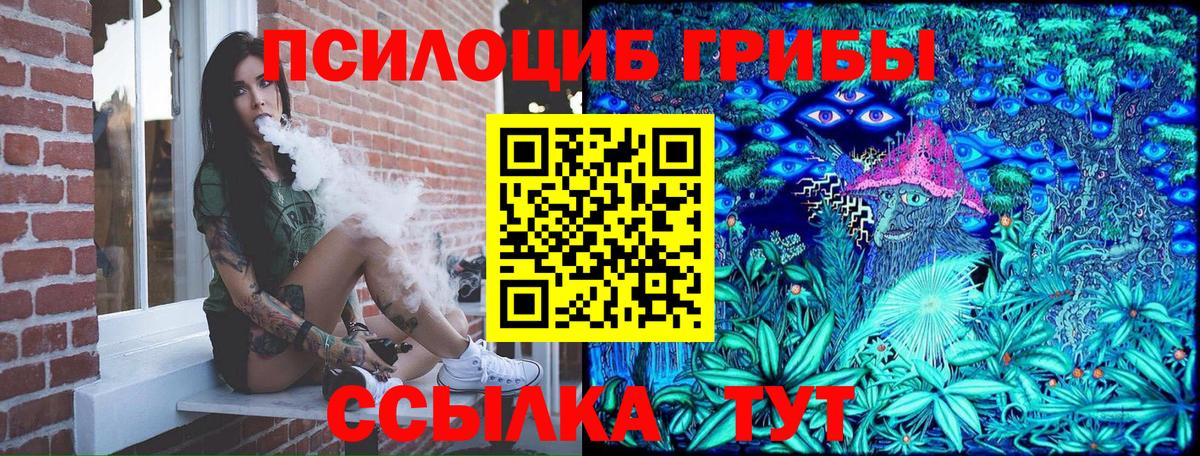 Рязань  Псилоцибиновые грибы Magic Shrooms  Вход с VPN  Псилоцибиновые грибы Cubensis 