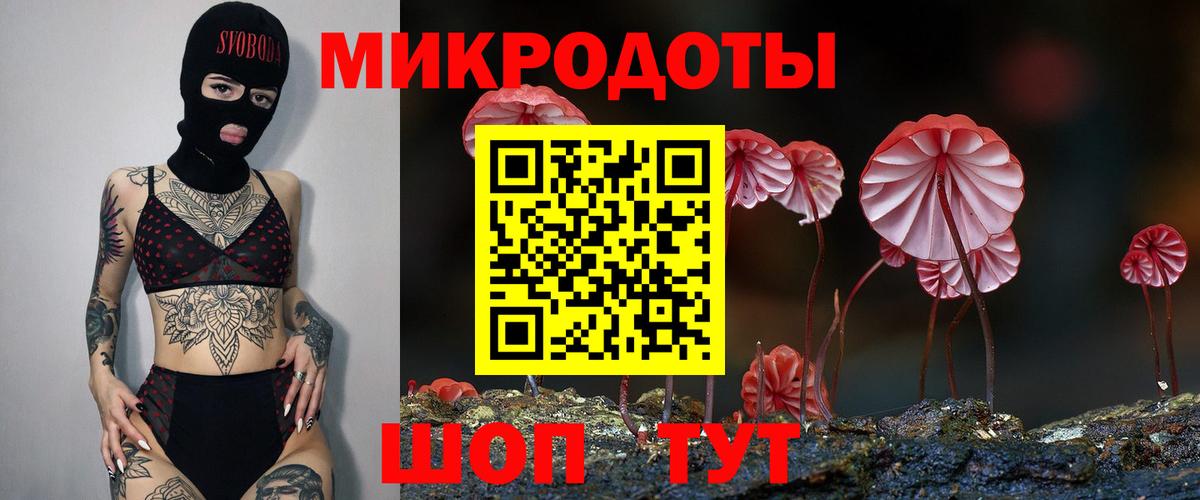 Псилоцибиновые грибы мицелий Рязань